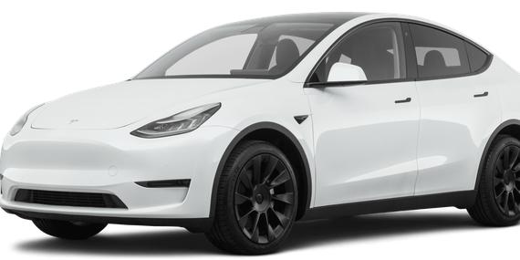 TESLA MODEL Y 2021 5YJYGDEE9MF090850 image
